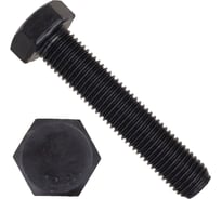 Болт Reyher DIN 933, М8х45, высокопрочный, 12.9, ОКС 200 шт. 66330