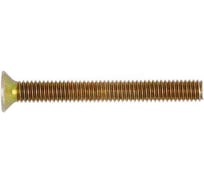 Винт ООО ПКФ Сварком ПТГ 3x8 латунь DIN965 упаковка 100 шт. kБП-00000226