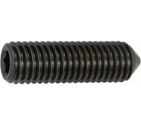 Винт установочный ООО ПКФ Сварком внутренний шестигранник плоск М 8x25 DIN 913 упаковка 20 шт. k00008753