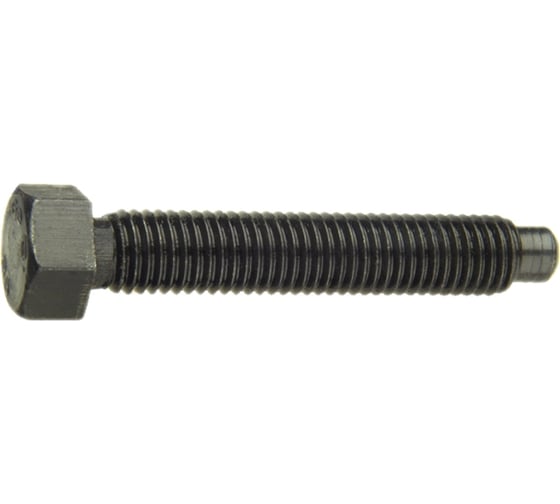Болт ЦКИ DIN561A М8х50, 8.8 Ц SW10 уп. 15 шт. 62405