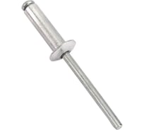 Заклепка комбинированная ООО ПКФ Сварком 5,0x16, сталь/сталь, упаковка/30шт. k00011403