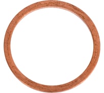 Кольцо уплотнительное ООО ПКФ Сварком 32x38x2,0 DIN7603А медь (уп/2шт.) k00008984