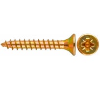 Саморез ООО ПКФ Сварком 4,0x30 ж/оц. Pz (2уп/100шт.) k00003007