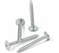 Саморез ООО ПКФ Сварком 4,5x25 оц. (41уп/20шт.) k00006151