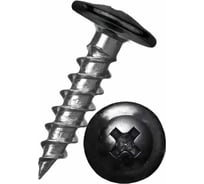 Саморез ООО ПКФ Сварком п/ш 4,2x32 RAL9005 (черный) (1уп/100шт.) kБП-00000583