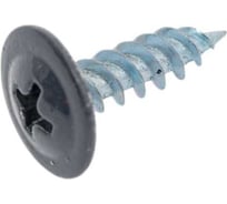 Саморез ООО ПКФ Сварком п/ш 4,2x41 RAL7024 (т.серый) (1уп/100шт.) k00007917