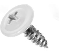 Саморез ООО ПКФ Сварком п/ш 4,2x32 RAL9003 (белый) (1уп/100шт.) k00014390