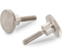 Винт ЦКИ DIN464 М8х25 A1 уп. 5 шт. 62914