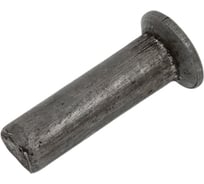 Заклепка ООО ПКФ Сварком ПТГ 8x30, сталь, ГОСТ 10300, 1 кг. k00001428