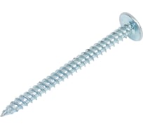 Саморез с прессшайбой 4,2x50 острый, цинк, 120 шт. ВИ 1299208