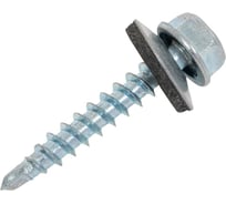 Саморез кровельный 4,8x29 оцинк. по дереву (1кг.) ВИ 1299301