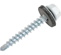 Саморез кровельный 4,8x35 RAL 9003 сигнальный-белый, по дереву (1кг) ВИ 1299292