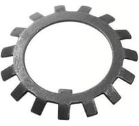 Стопорная шайба ЦКИ DIN 5406, D125 MB25, многолапчатая, для DIN 981, Б/П, уп. 5 шт. 65566