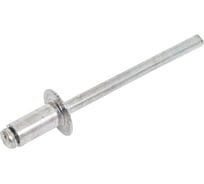 Заклепки МастерАлмаз 4x8 10508503