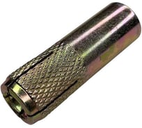 Забивной анкер BlackWeld М10 12x40, 50 шт. 144878
