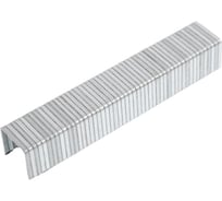 Скобы STARTUL 10мм тип 140 (1000шт) MASTER ST4554-10