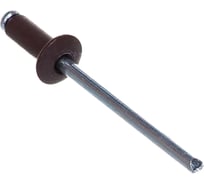 Заклепка вытяжная комбинированная BlackWeld 3,2x8 RAL8017 Тёмно-корич. (1000) 145095