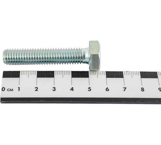Болт SWFS DIN933 М10х50, пакетик 2 шт. тов-092421