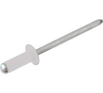 Заклепка вытяжная BlackWeld 4x12 комбин.RAL9003 Белый (1000) 145100