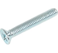 Винт SWFS DIN 965, М4х25, пакетик 12 шт. тов-092448