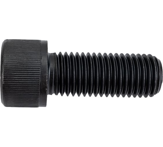 Винт ЦКИ DIN912 М20х50, 12.9 окс. HEX 17 аналог ГОСТ 11738-84 уп. 10 шт. 63373 1