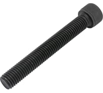 Винт ЦКИ DIN912 М14х100, 12.9 окс. HEX 12 аналог ГОСТ 11738-84 уп. 15 шт. 63309