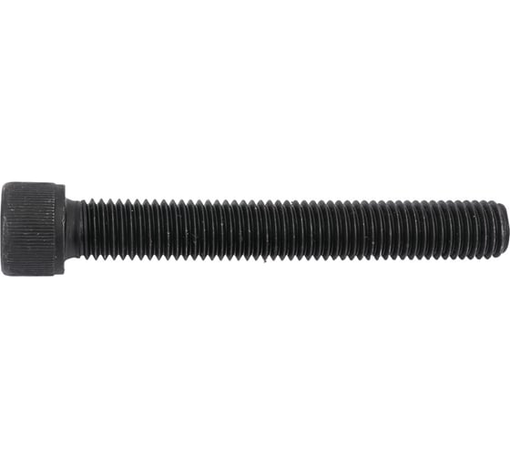 Винт ЦКИ DIN912 М14х100, 12.9 окс. HEX 12 аналог ГОСТ 11738-84 уп. 15 шт. 63309
