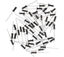 Заклепка вытяжная BlackWeld 4x8 комбин.RAL8017 темно-коричневый (1000) 145097