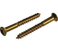 Шуруп ЦКИ DIN 7995, 5х20, лат., уп. 100 шт. 65875