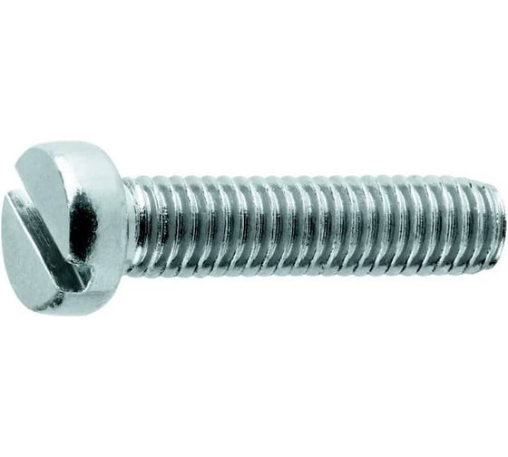 Винт ОПМ DIN 84 М10x20 4.8 zn 100 шт 00000003119 1