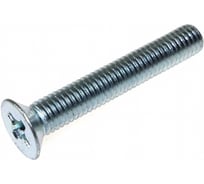 Винт DIN965 с потайной головкой оцинк. M4x20 (2 кг) - накл Zitar 155526