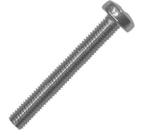 Винт крепежная техника с полуцилиндрической головкой DIN 7985 6x70 нерж. А2 10, пакет 800538 БК