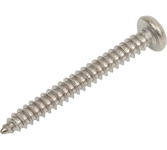 Саморез крепежная техника с полукруглой головкой DIN 7981 4,2x38, нерж. А2 50, пакет 800938 БК 1