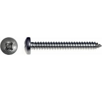 Саморез крепежная техника с полукруглой головкой DIN 7981 5,5x45, нерж. А2 20, пакет 800984 БК