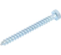 Шуруп "Глухарь" КостИнСтрой 6x60 DIN 571 с шестигранной головкой, острый, оц. 200шт 20457