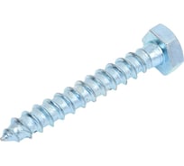 Шуруп "Глухарь" КостИнСтрой 6x40 DIN 571 с шестигранной головкой, острый, оц. 250шт 20455