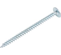 Саморез с прессшайбой КостИнСтрой 4,2x57 острый, цинк 250шт 17664