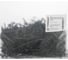 Саморез TUNDRA 3,5x41, потайн., крупная резьба, шлиц PH, фосфатированный, 1 кг 5470698 2