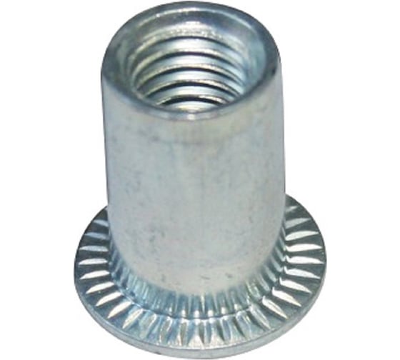 Заклепка-гайка ЦКИ М6х16, плоск., EPDM, E: 0.4-2.8 мм, REX, уп. 20 шт. 64538 1