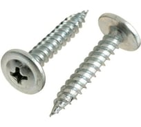 Саморез с прессшайбой ЦММ острый, 4.2x13, 1 кг/~565 шт 0Т-00007956