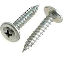 Саморез с прессшайбой ЦММ острый, 4.2x38, 1 кг/~291 шт 0Т-00007845