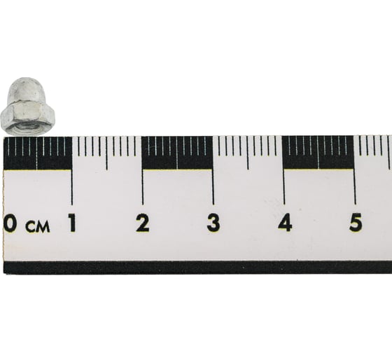Гайка колпачковая КОСТИНСТРОЙ М4, DIN 1587, оцинкованная сталь, 600шт 34944