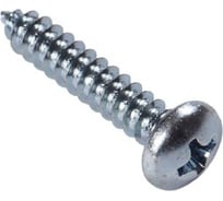 Оцинкованный саморез по металлу SORREX DIN 7981С 6,3х13, 100 шт. 7981С-1-063-013 100