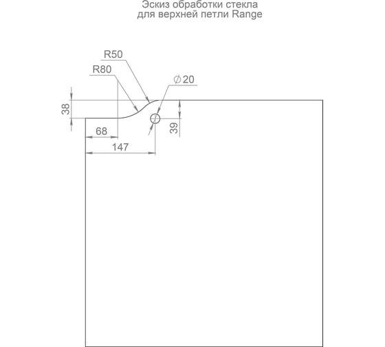 Петля верхняя с осью для стеклянной двери ARMADILLO Range.GL.H20 SS нерж. сталь 57903