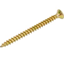 Саморезы универсальные ООО "Тэмпо-Метиз" 4x50 желтый цинк, 1 кг 521272