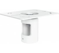 Крепление Wize Pro CА870-W Pro CA870-W для штанги к потолку, нагрузка до 50 кг, белый \6\ 138817