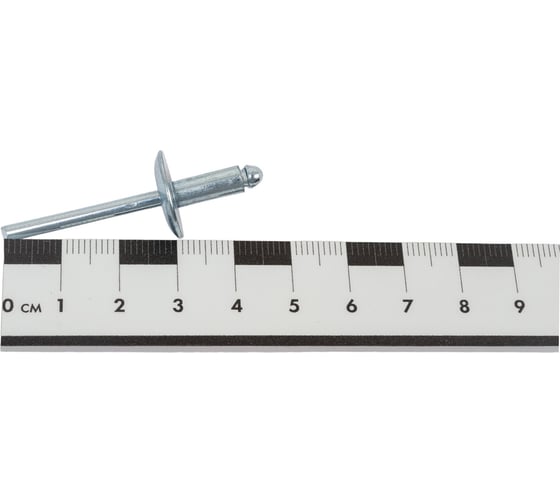 Заклепка SORREX широкий бортик 16 мм, сталь/сталь, 4,8х12, 100 шт. SSLA 48120 100