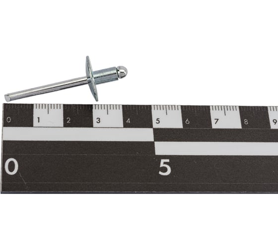 Заклепка SORREX широкий бортик 16 мм, сталь/сталь, 4,8х8, 100 шт. SSLA 48800 100