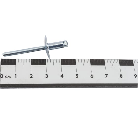 Заклепка SORREX широкий бортик 16 мм, сталь/сталь, 4,8х10, 100 шт. SSLA 48100 100