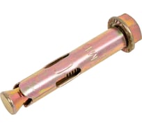 Анкерный болт с гайкой КОСТИНСТРОЙ 10x60 (20шт) 35256